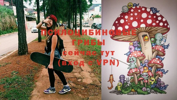 меф Дмитриев