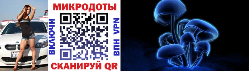 Псилоцибиновые грибы Psilocybe  Купить где  Осинники 